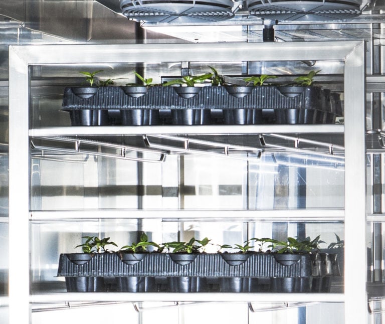 C3 Srl: Chambres Frigorifiques pour Germination des Plantes